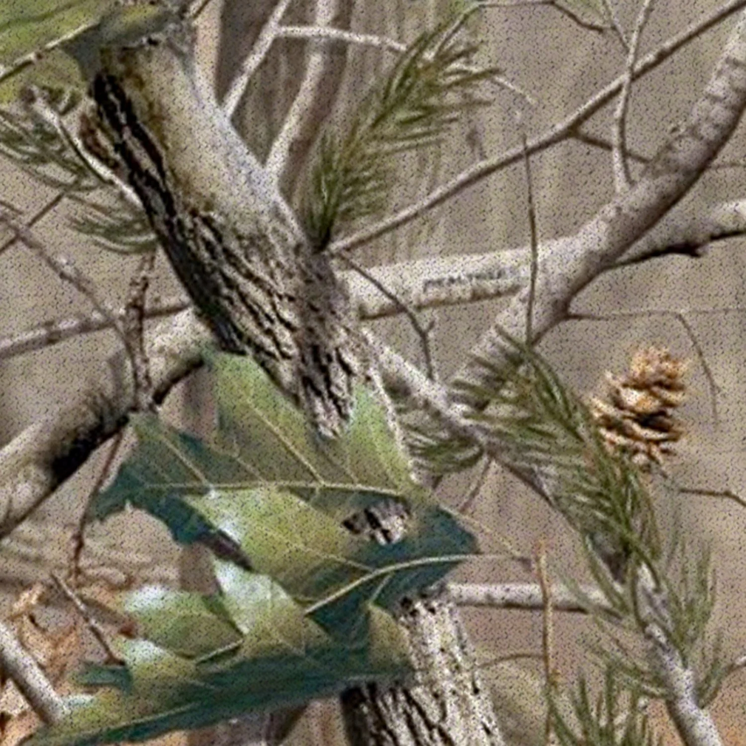 Custom Fit Seat Covers Realtree® Camo Advantage Timber - Image 76