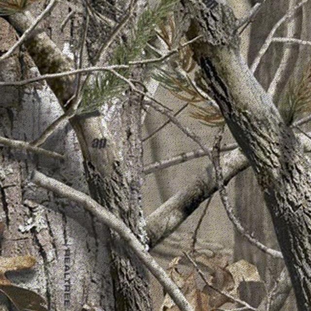 Custom Fit Seat Covers Realtree® Camo Advantage Timber - Image 78
