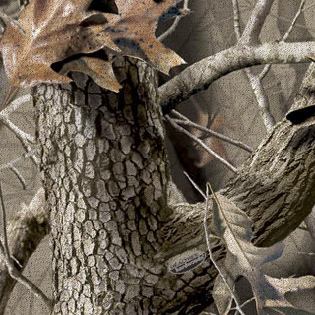Custom Fit Seat Covers Realtree® Camo Advantage Timber - Image 81